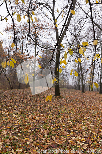 Image of Autumn season parks