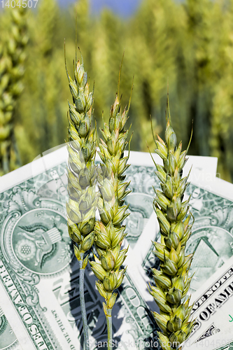 Image of one American dollar pile , agricultural business