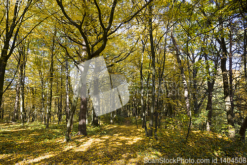 Image of sunny weather in the autumn