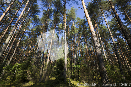 Image of sunny weather in the autumn season