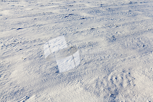 Image of snow-covered soil surface close up - snow-covered soil surface is not smooth. Photographed close-up.
