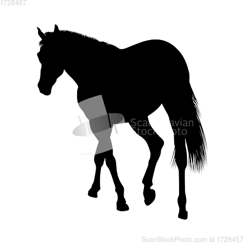 Image of Horse Silhouette