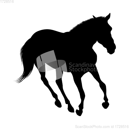 Image of Horse Silhouette