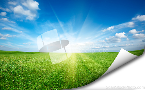 Image of Ssun and green fresh grass field blue sky sticker