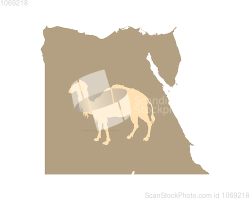 Image of Egypt and camel on white