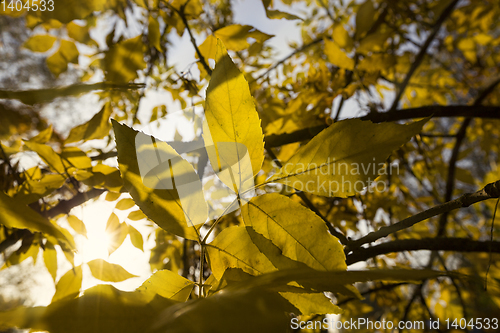 Image of Calm autumn nature