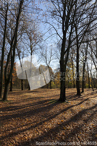 Image of hilly territory in autumn season