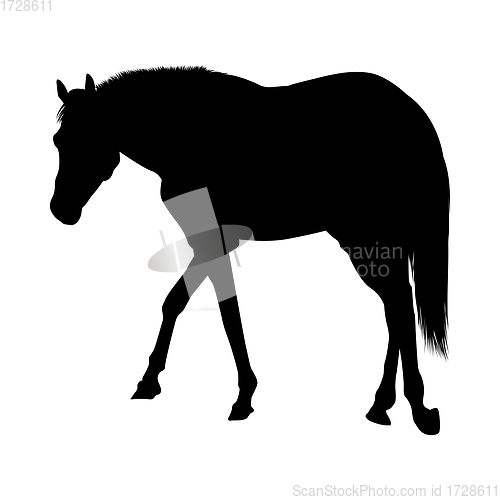Image of Horse Silhouette