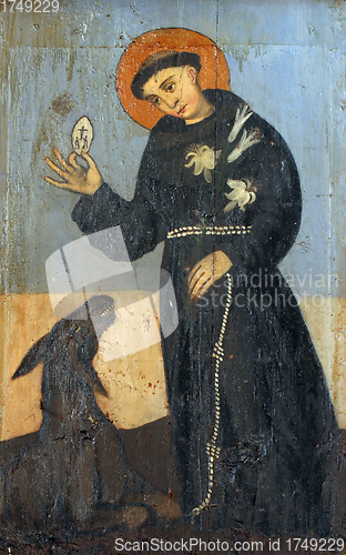 Image of Saint Francis of Assisi