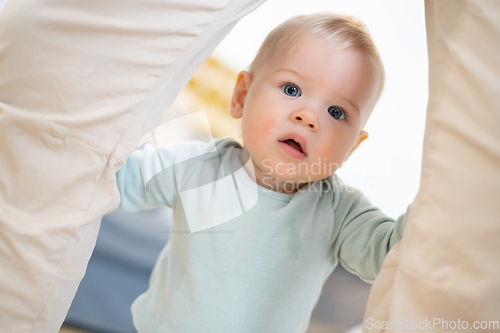 Image of Portrait of adorable curious infant baby boy child taking first steps holding to father's pants at home. Cute baby boy learning to walk.