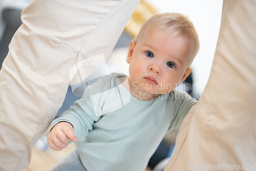 Image of Portrait of adorable curious infant baby boy child taking first steps holding to father's pants at home. Cute baby boy learning to walk.