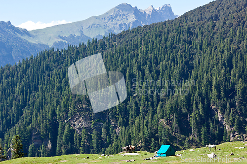 Image of Camp in mountains. Kullu Valley, Himachal Pradesh, India