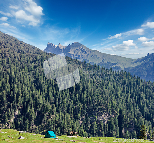 Image of Camp tent in mountain