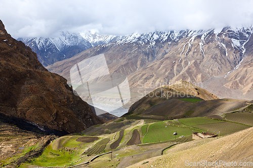 Image of Fields in Spiti Valley