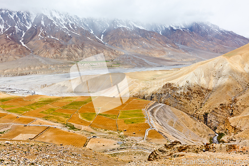 Image of Fields in Spiti Valley