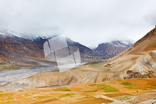 Image of Fields in Spiti Valley