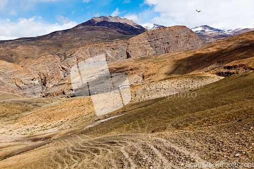 Image of Spiti Valley