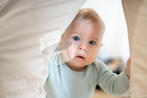 Image of Portrait of adorable curious infant baby boy child taking first steps holding to father's pants at home. Cute baby boy learning to walk.