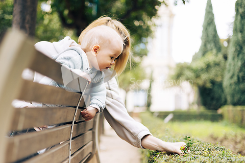 Image of Young mother with her cute infant baby boy child leaning over back of wooden bench towards bushes in city park, observing green plant with young leaves and learn about life and nature.