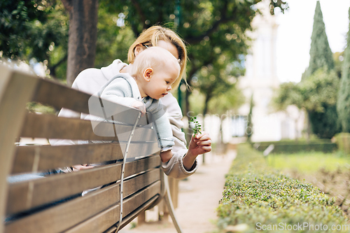 Image of Young mother with her cute infant baby boy child leaning over back of wooden bench towards bushes in city park, holding and observing green plant with young leaves and learn about life and nature.