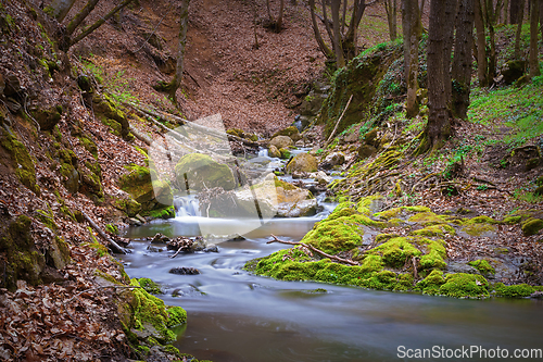 Image of wild stream in Apuseni mountains