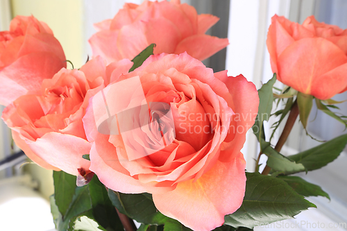 Image of Beautiful bouquet of delicate roses