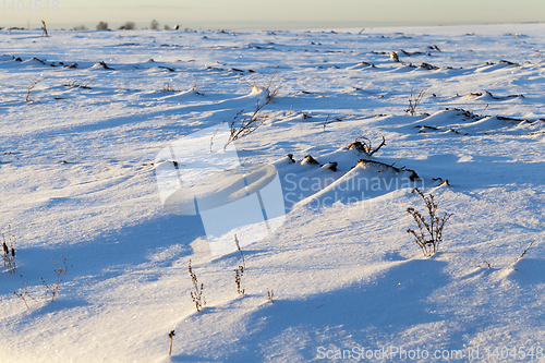 Image of Snow drifts in winter - snow photographed in the winter season, which appeared after a snowfall. close-up,