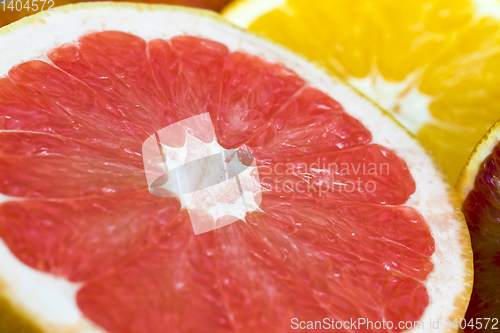 Image of different types of citrus