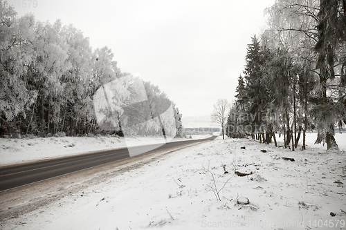 Image of winter day after a snowfall