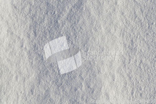 Image of Snow in winter - photographed snowdrifts in the winter season. Close-up and a shallow depth of field