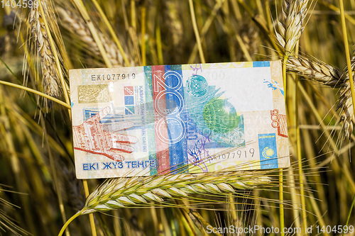 Image of one beautiful new kazakhstan banknote