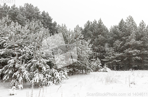 Image of winter day after a snowfall