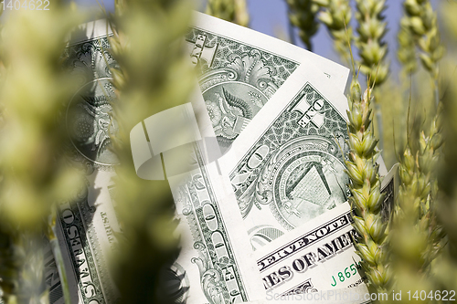 Image of one American dollar pile , agricultural business