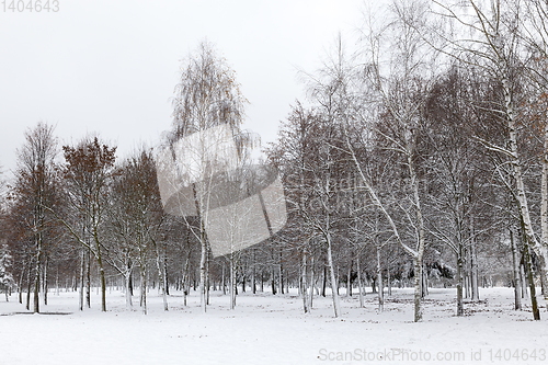 Image of winter day after a snowfall