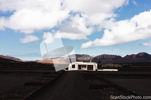 Image of Traditional white house in black volcanic landscape of La Geria wine growing region with view of Timanfaya National Park in Lanzarote. Touristic attraction in Lanzarote island, Canary Islands, Spain.