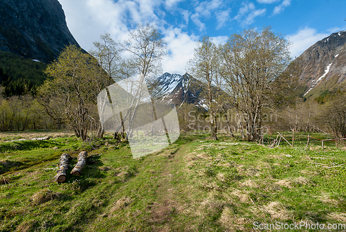 Image of snow-covered mountain peak with open fields in the spring