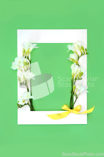 Image of Freesia Flower Abstract Spring Frame