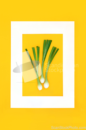 Image of Spring Onions Health Food Abstract Background 