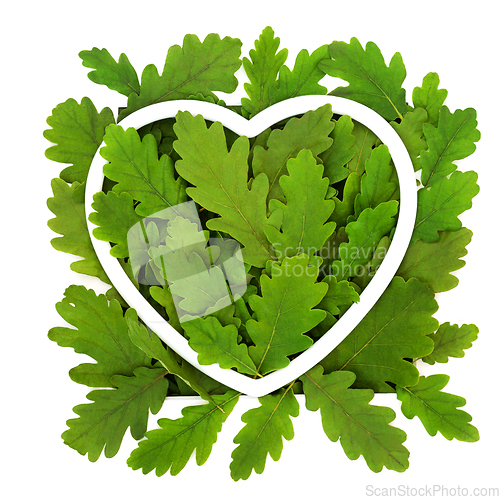 Image of Eco Friendly Love the Oak Trees Composition