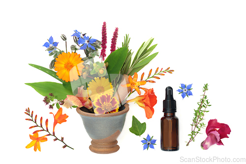 Image of Summer Flowers and Herbs for Aromatherapy Essential Oil