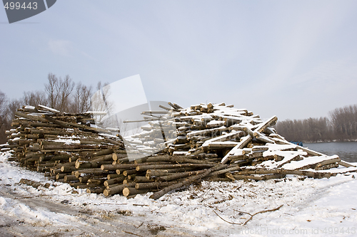 Image of cut timber on bank of river in winter