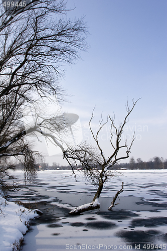 Image of winter view of frozen lake and trees