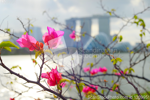 Image of Flowers Singapore Marina Bay