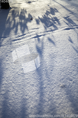 Image of after snowfall and frost