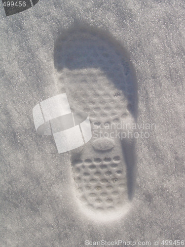 Image of Fresh footprint in new white snow