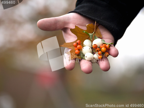 Image of Human hand giving xmas decoration