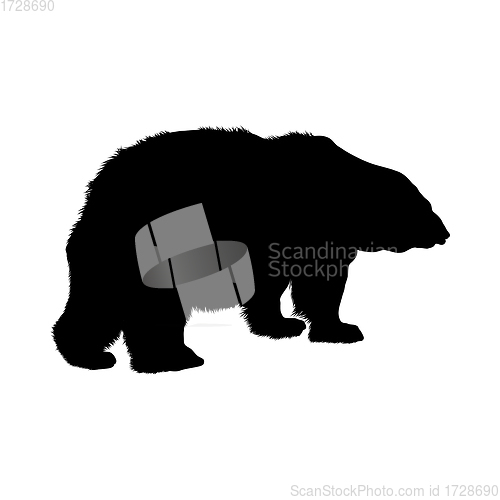 Image of Polar Bear Silhouette