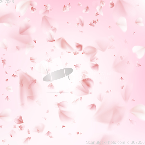 Image of Flying petals of sakura. EPS 10