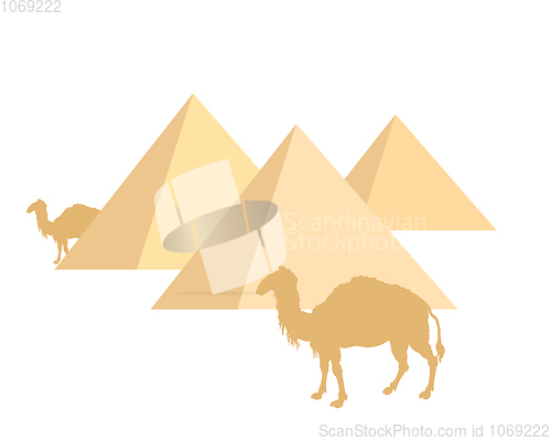 Image of Camels and pyramids on white