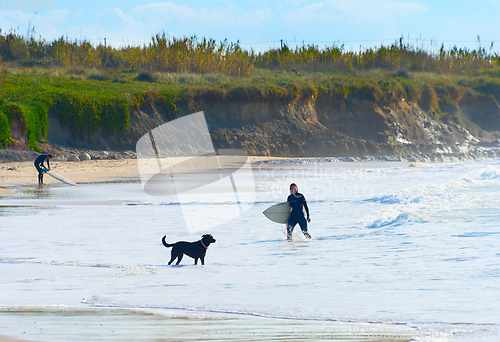 Image of Woman surfer surfboard dog ocean